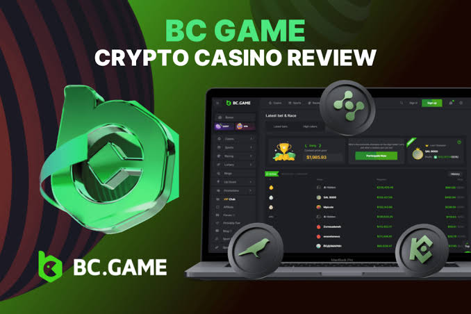 Exploring the Key Features and Functions of the BC App